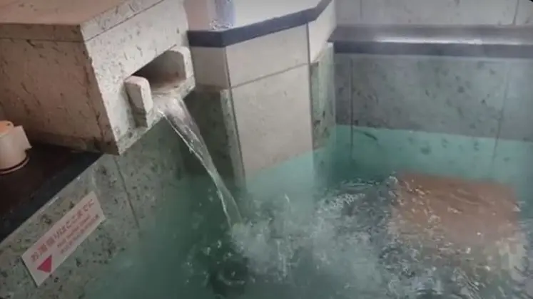 Deluxe İki Ayrı Yataklı Oda, Sigara İçilmez, Bahçe Manzaralı (JapaneseWestern,Circulation type bath)