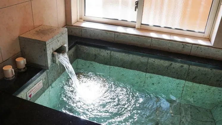 Deluxe İki Ayrı Yataklı Oda, Sigara İçilmez, Bahçe Manzaralı (JapaneseWestern,Circulation type bath)