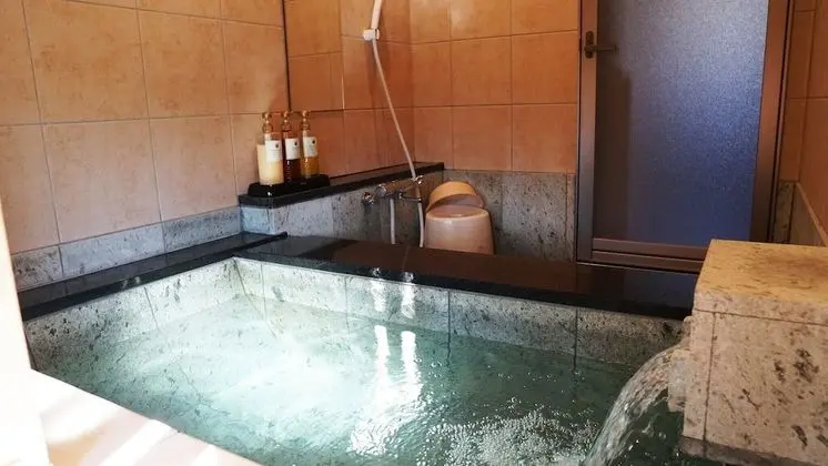 Tek Büyük Yataklı Oda, Sigara İçilmez, Dağ Manzaralı (Japanese Western, Double Bed)
