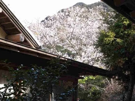 Oda, Ek Bina (Class 2, Run of House,Photo example)