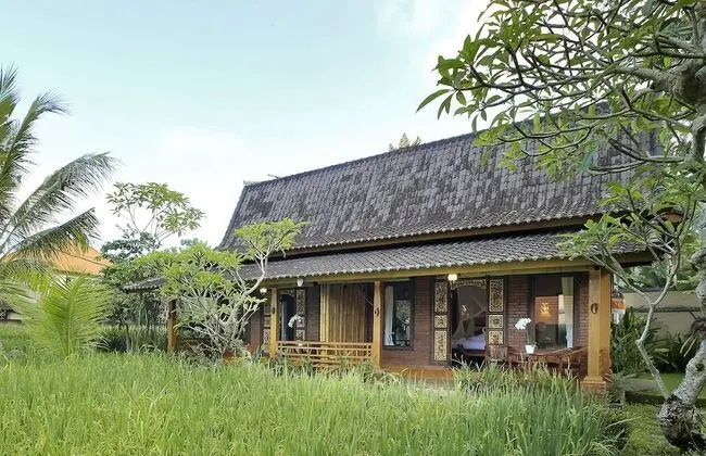 Villa, 1 Yatak Odası