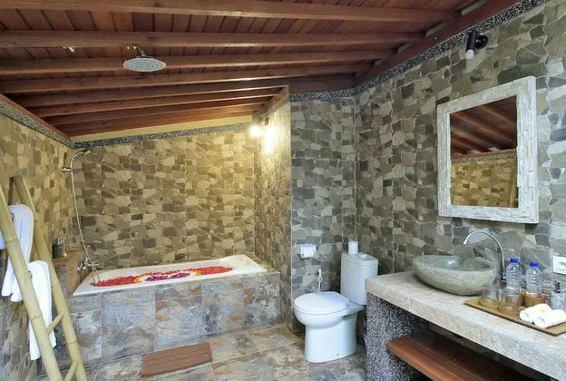 Villa, 1 Yatak Odası