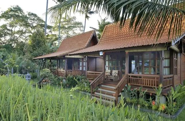 Deluxe Villa, 1 Yatak Odası