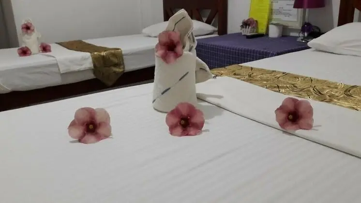 Deluxe Tek Büyük Yataklı Oda, 1 Çift Kişilik Yatak, Havuz Kullanımı