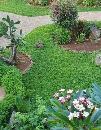 Standard Tek Büyük Yataklı Oda, 2 Tek Kişilik Yatak, Havuz Kullanımı, Bahçe Manzaralı