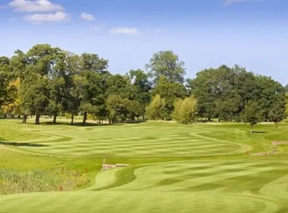 Süit, 1 Yatak Odası, Golf Manzaralı