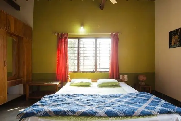 Deluxe Oda, 1 Çift Kişilik Yatak, Sigara İçilmez