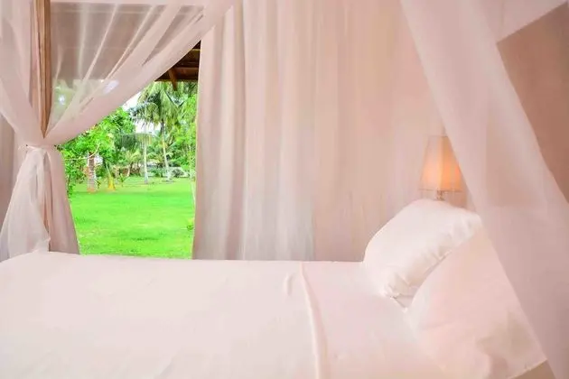 Deluxe Villa, 1 Yatak Odası