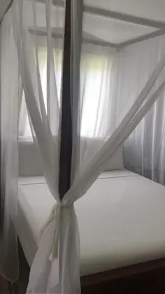 Standard Oda, Bahçe Manzaralı