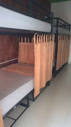 4 Bunk Bed Female Dorm (Room 2)