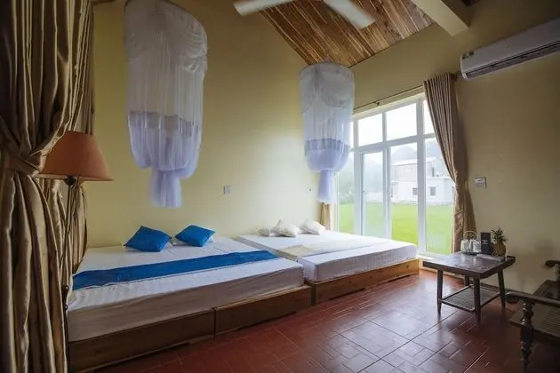 Deluxe Dört Kişilik Oda