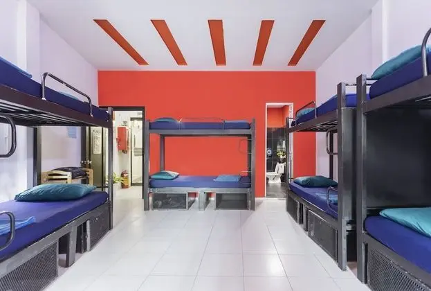 Deluxe Ortak Ranzalı Oda, Karma Ranzalı Oda (Bed in 12-Bed)