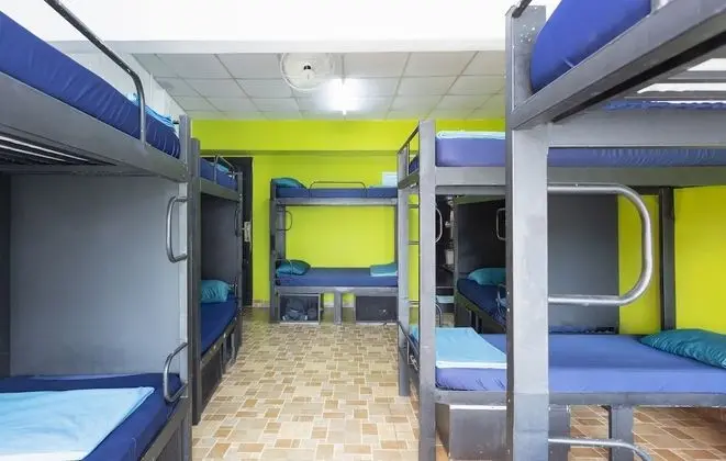 Deluxe Ortak Ranzalı Oda, Karma Ranzalı Oda (Bed in 12-Bed)