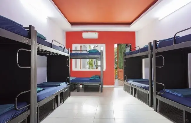 Deluxe Ortak Ranzalı Oda, Karma Ranzalı Oda (Bed in 12-Bed)