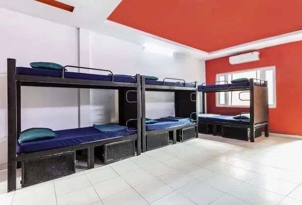 Deluxe Ortak Ranzalı Oda, Karma Ranzalı Oda (Bed in 12-Bed)