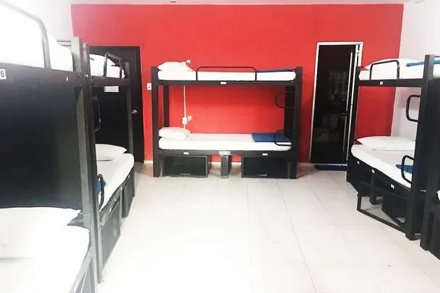 Deluxe Ortak Ranzalı Oda, Karma Ranzalı Oda (Bed in 8-Bed)