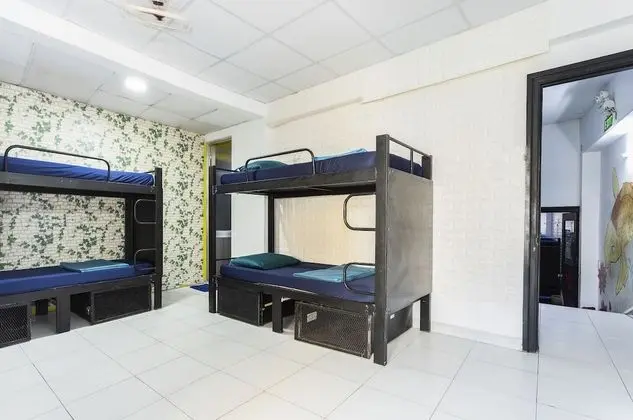 Deluxe Ortak Ranzalı Oda, Karma Ranzalı Oda (Bed in 8-Bed)
