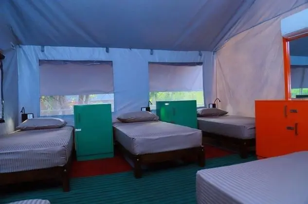 Standard Ortak Ranzalı Oda, Sadece kadınlar için (Tent)