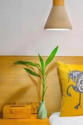 Classic Tek Büyük Yataklı Oda