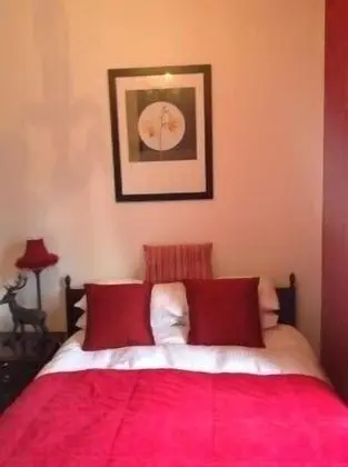Tek Büyük Yataklı Oda, Banyolu/Duşlu (Room 4)