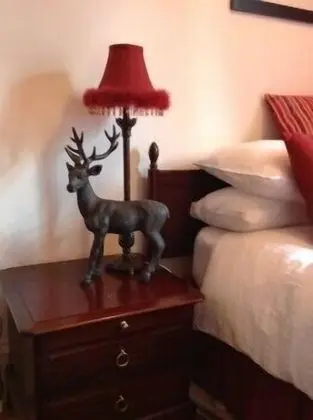 Tek Büyük Yataklı Oda, Banyolu/Duşlu (Room 4)