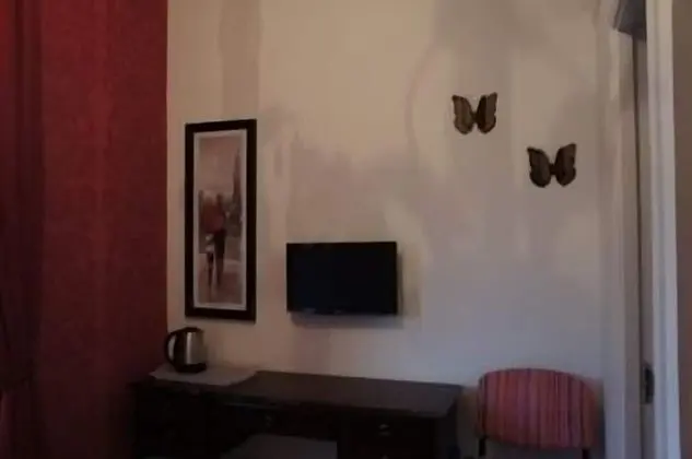 Tek Büyük Yataklı Oda, Banyolu/Duşlu (Room 4)