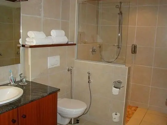 Çatı Katı Süiti (Penthouse), 1 Yatak Odası
