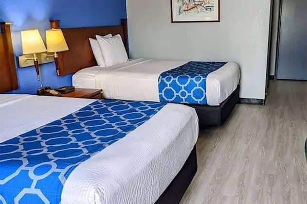 Deluxe Stüdyo Süit, Birden Çok Yatak, Sigara İçilmez