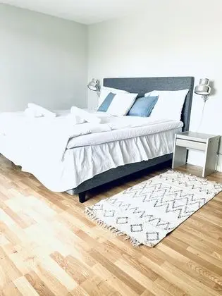 Comfort Tek Büyük Yataklı Oda (32)