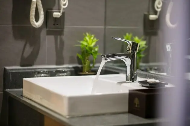 Deluxe Tek Büyük Yataklı Oda, Avlu Manzaralı