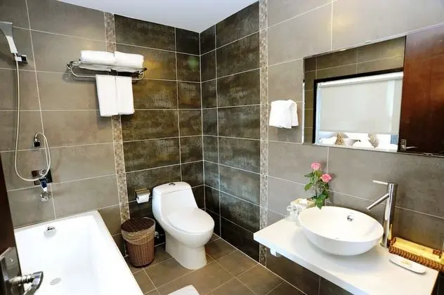 Deluxe İki Ayrı Yataklı Oda, Şehir Manzaralı