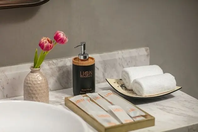Premium Oda, 1 Büyük (Queen) Boy Yatak, Balkon, Şehir Manzaralı