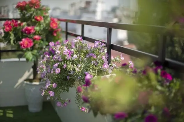 Family Süit, Balkon, Şehir Manzaralı (Terrace)