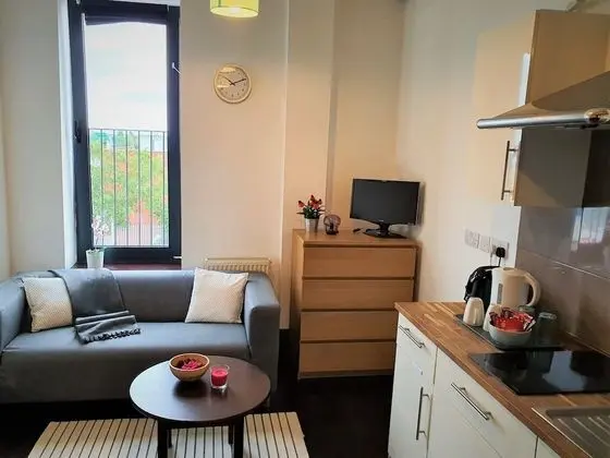 Apart Daire, 1 Yatak Odası, Özel Banyo, Asma Kat