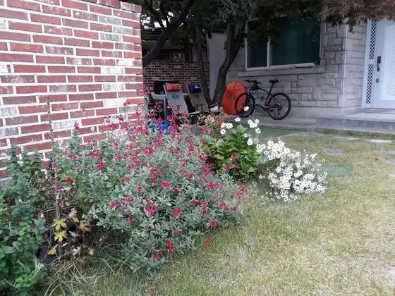 Family Oda, 1 Yatak Odası, Şehir Manzaralı