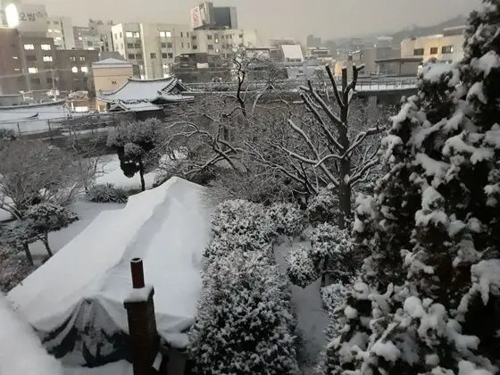 Family Oda, 1 Yatak Odası, Şehir Manzaralı