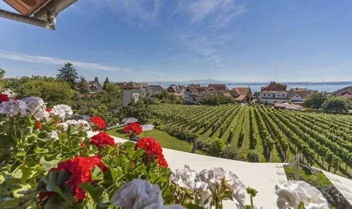 Tek Büyük Yataklı Oda, Balkon, Göl Manzaralı (1. Etage)