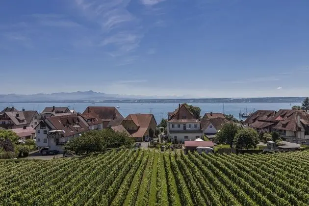 Tek Büyük Yataklı Oda, Balkon, Göl Manzaralı (1. Etage)