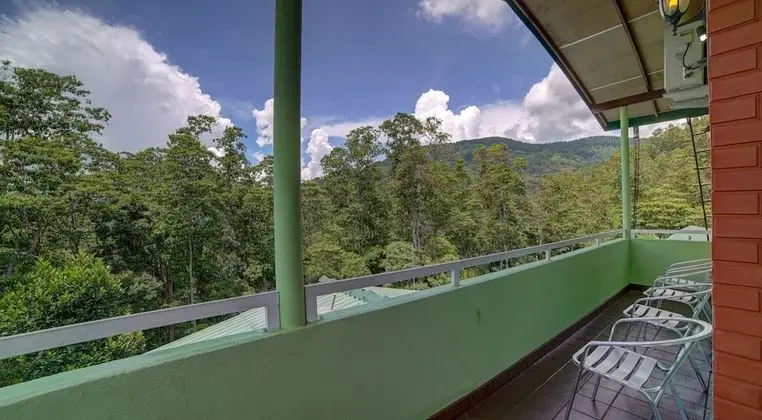 Deluxe Oda, 2 Çift Kişilik Yatak, Balkon, Tepe Manzaralı (King)