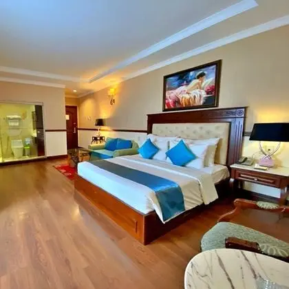 Deluxe Tek Büyük Yataklı Oda, 1 Büyük (Queen) Boy Yatak, Sigara İçilmez, Şehir Manzaralı