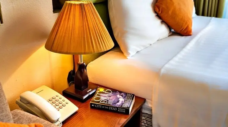 Deluxe Tek Büyük Yataklı Oda, 1 Büyük (Queen) Boy Yatak, Şehir Manzaralı