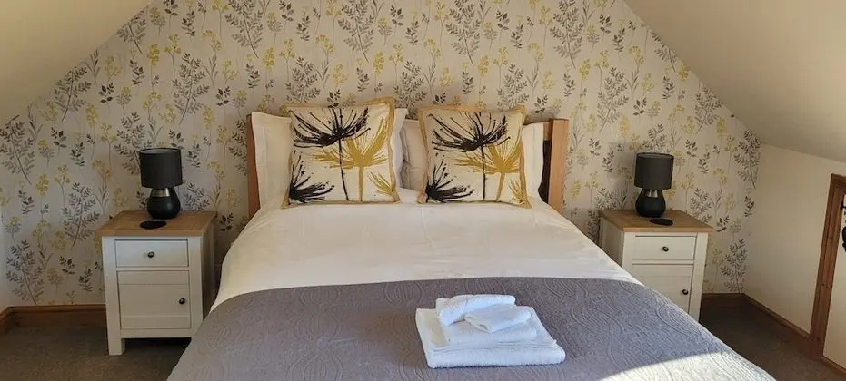 Deluxe Tek Büyük Yataklı Oda, Balkon