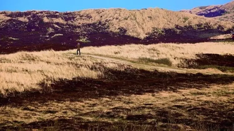 Economy Apart Daire, 1 Büyük (Queen) Boy Yatak ve Çekyat