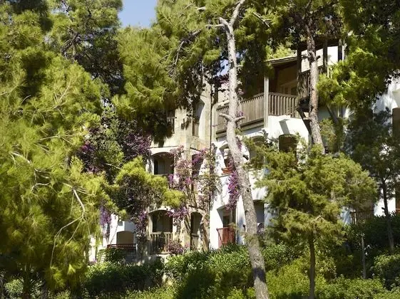 Standard Tek Kişilik Oda, Bahçe Manzaralı