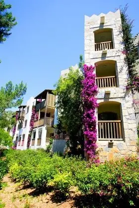 Standard Tek Kişilik Oda, Deniz Manzaralı