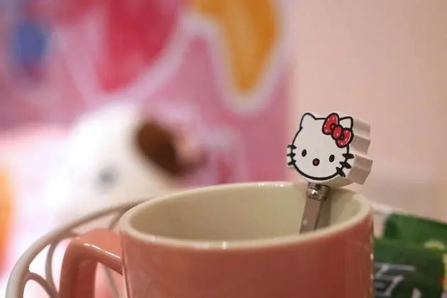 Tek Büyük Yataklı Oda (Kitty cat)