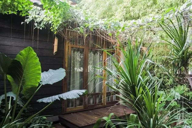 The Bamboo (Chalet)