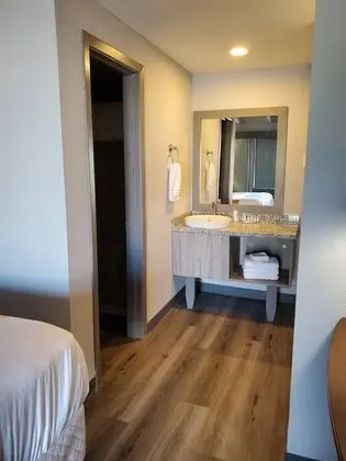 Deluxe Tek Kişilik Oda, 1 En Büyük (King) Boy Yatak