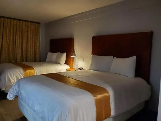 Standard Tek Büyük Yataklı Oda, 2 Büyük (Queen) Boy Yatak