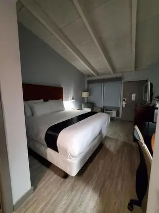 Standard Tek Kişilik Oda, 1 En Büyük (King) Boy Yatak